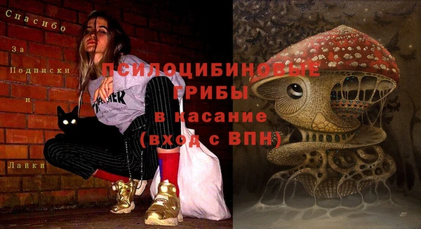 СК Абаза