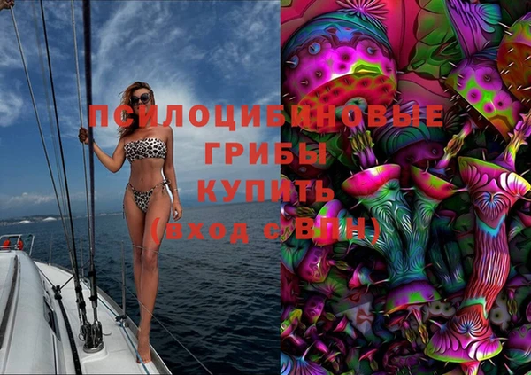 гидра Абдулино
